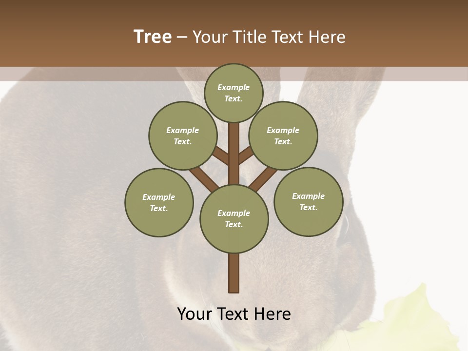 Rabbit Eating PowerPoint Template