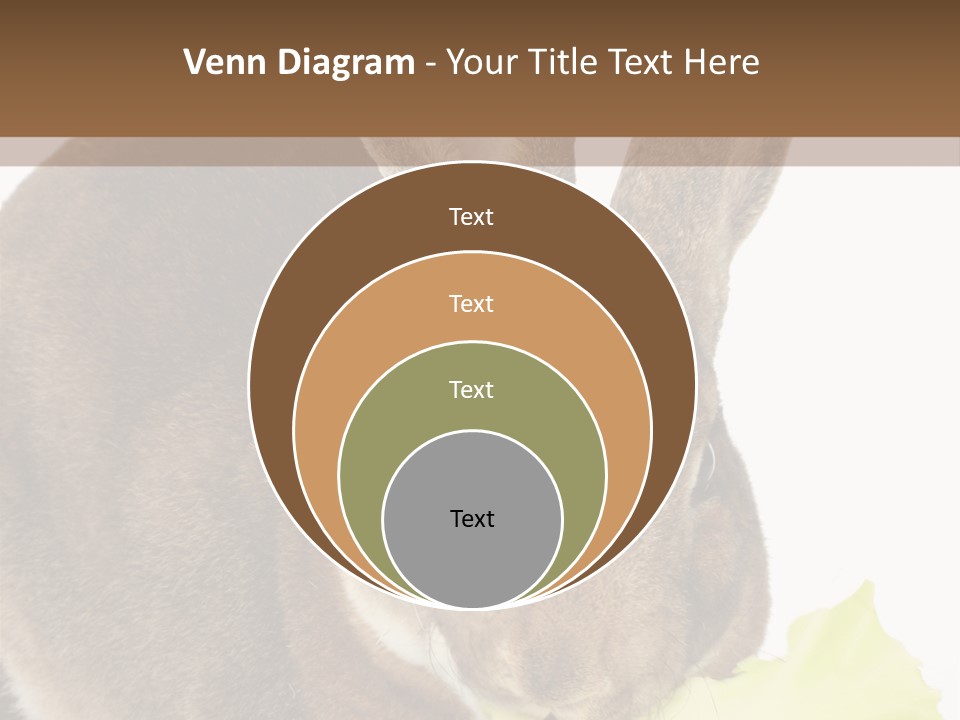 Rabbit Eating PowerPoint Template