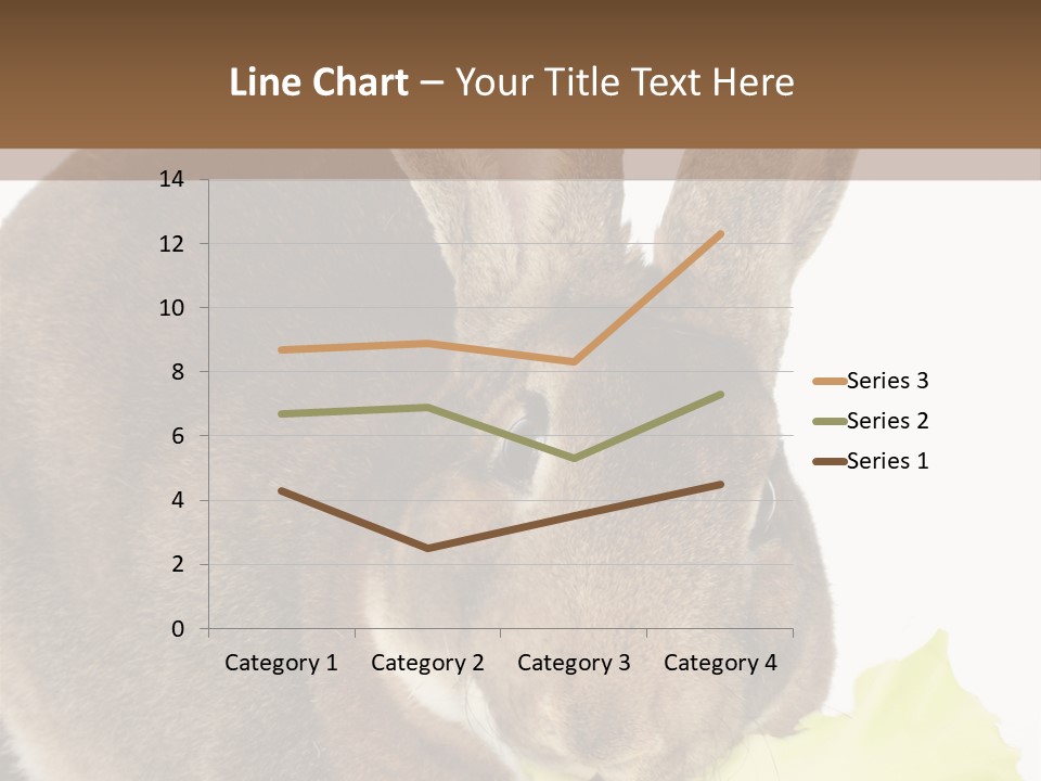 Rabbit Eating PowerPoint Template