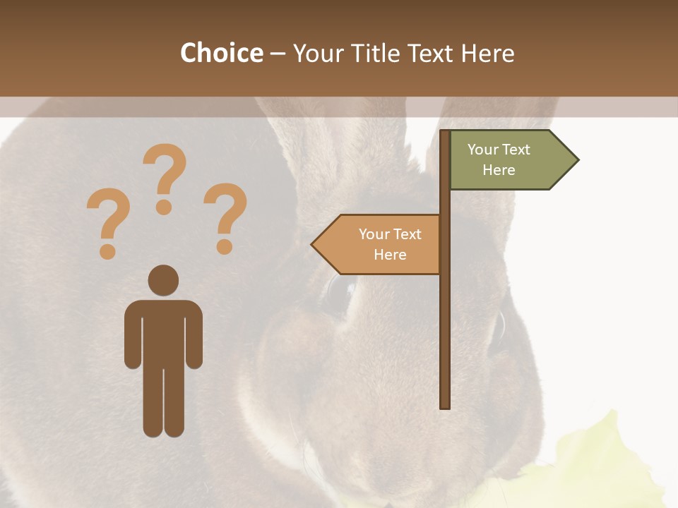 Rabbit Eating PowerPoint Template