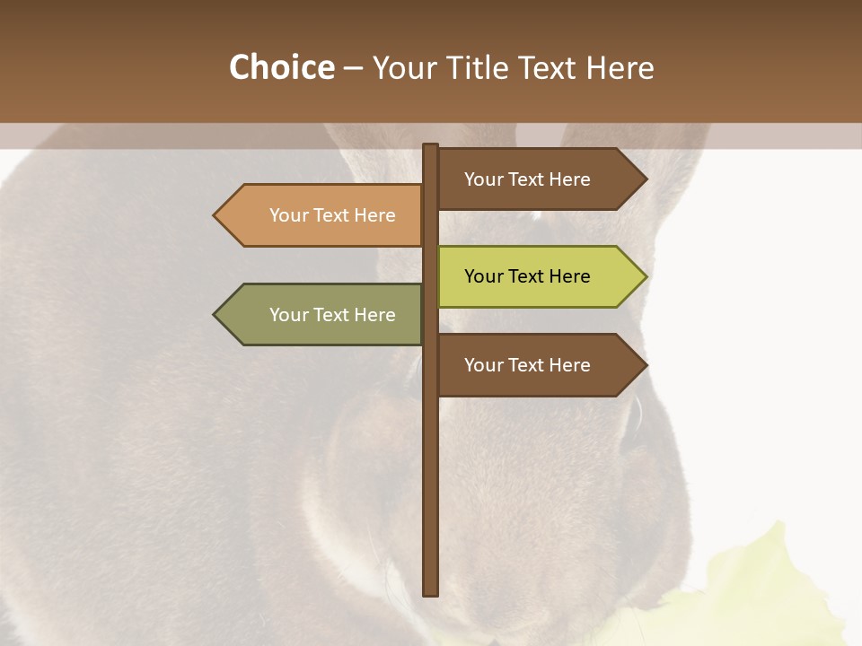 Rabbit Eating PowerPoint Template