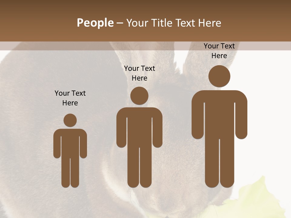 Rabbit Eating PowerPoint Template
