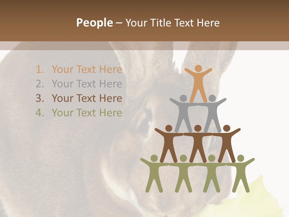 Rabbit Eating PowerPoint Template