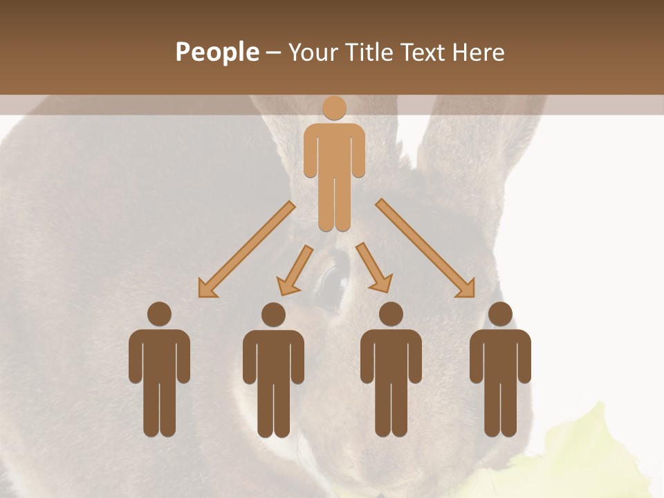 Rabbit Eating PowerPoint Template