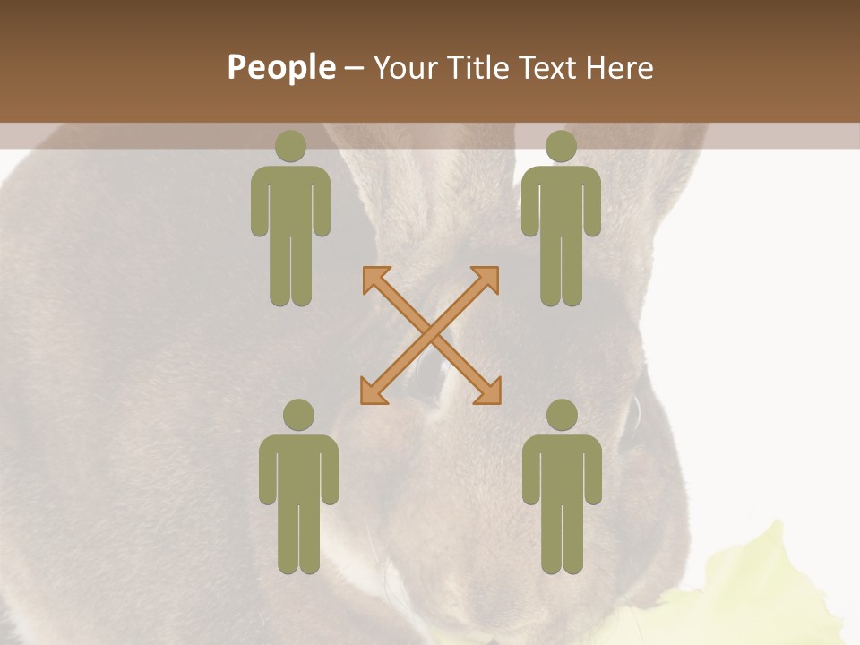 Rabbit Eating PowerPoint Template