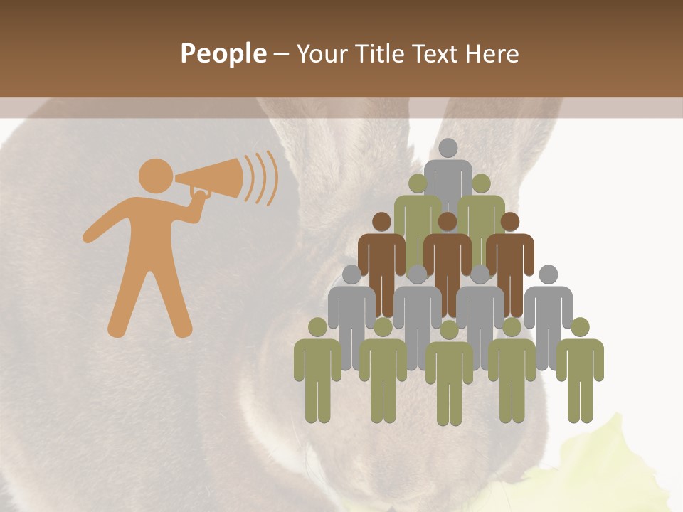 Rabbit Eating PowerPoint Template