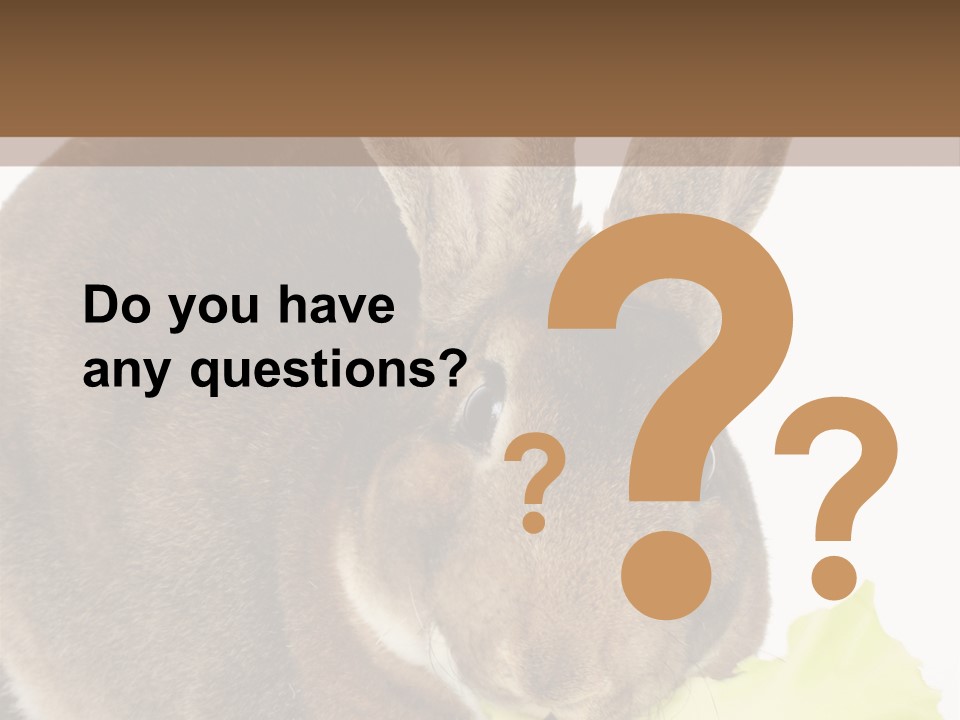 Rabbit Eating PowerPoint Template