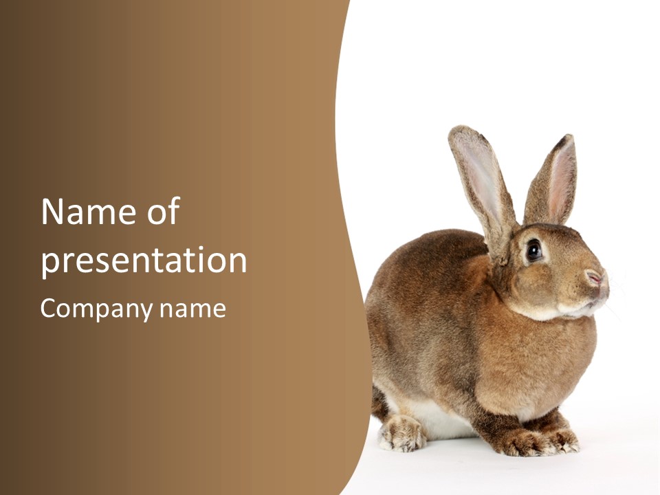 Young Fluffy Easter PowerPoint Template