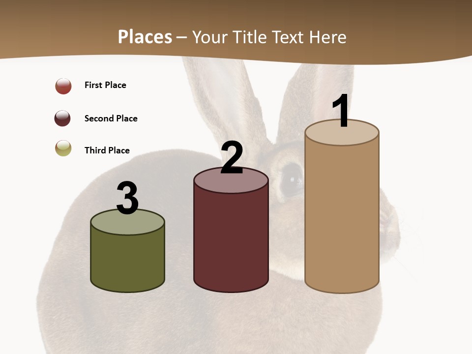 Young Fluffy Easter PowerPoint Template