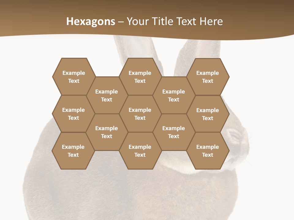 Young Fluffy Easter PowerPoint Template