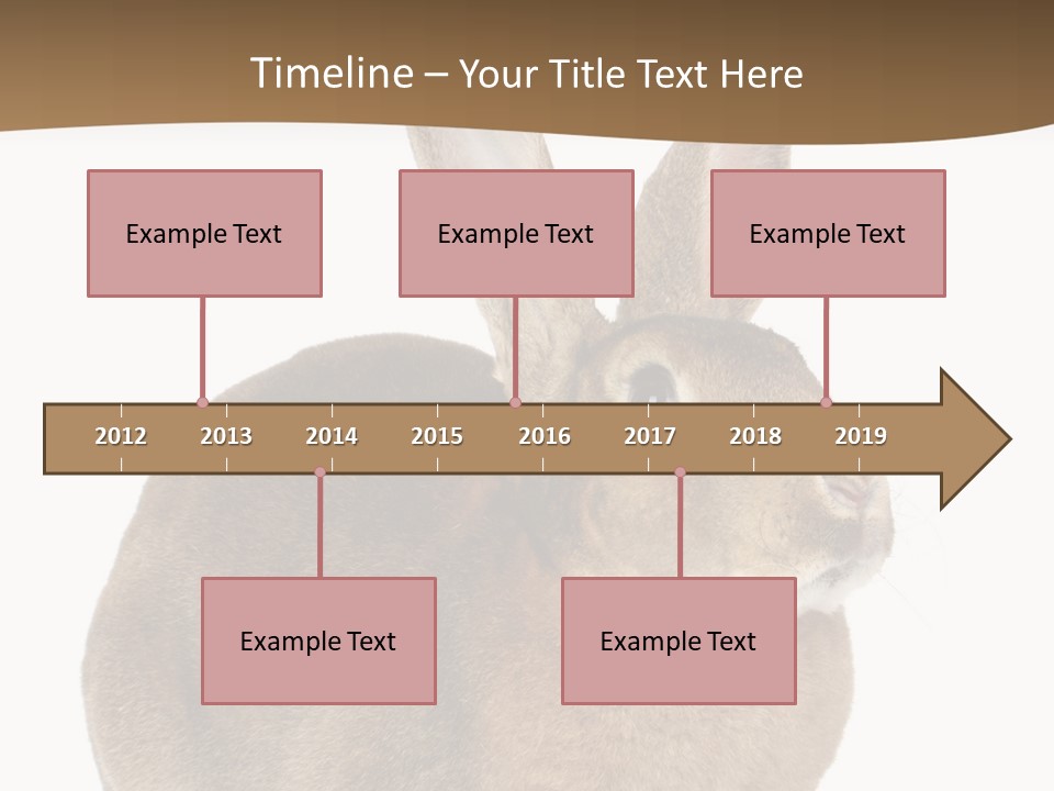 Young Fluffy Easter PowerPoint Template