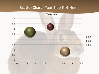 Young Fluffy Easter PowerPoint Template