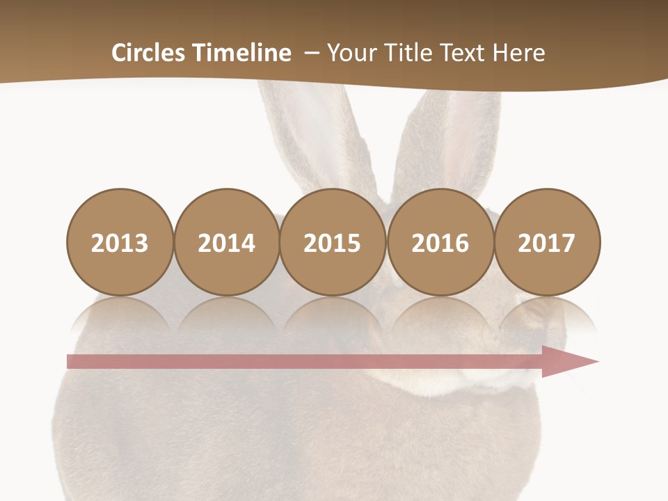 Young Fluffy Easter PowerPoint Template