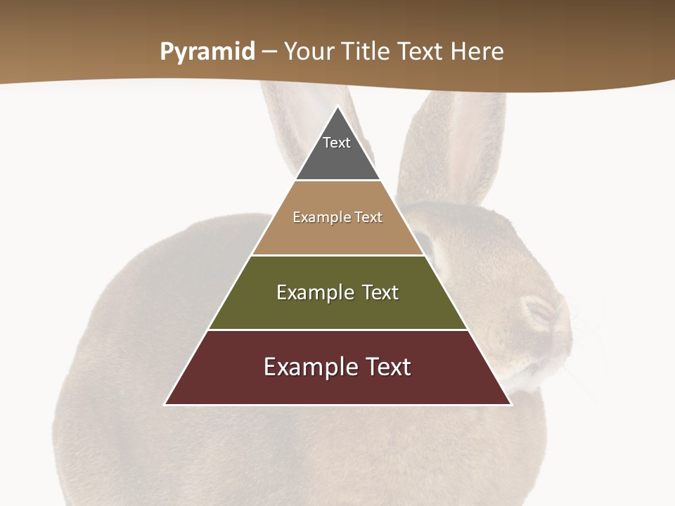 Young Fluffy Easter PowerPoint Template