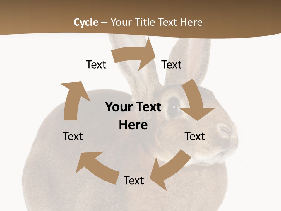 Young Fluffy Easter PowerPoint Template