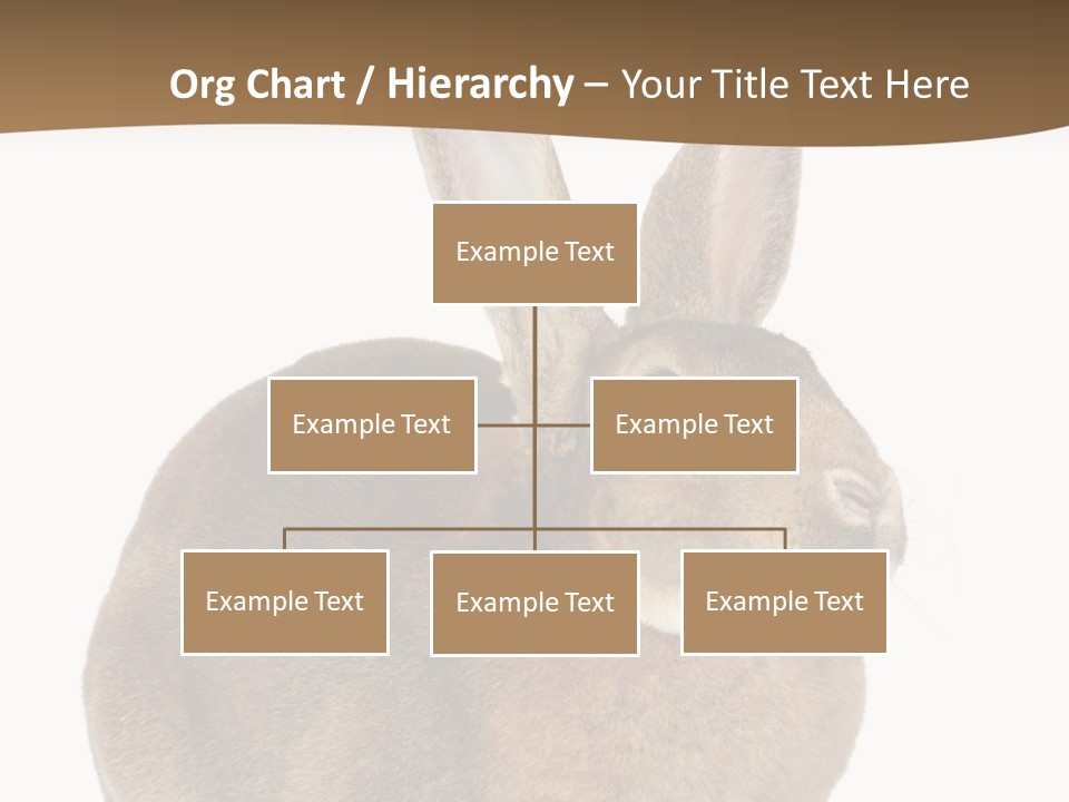 Young Fluffy Easter PowerPoint Template