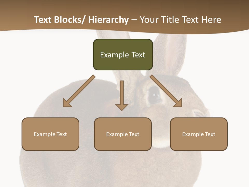 Young Fluffy Easter PowerPoint Template