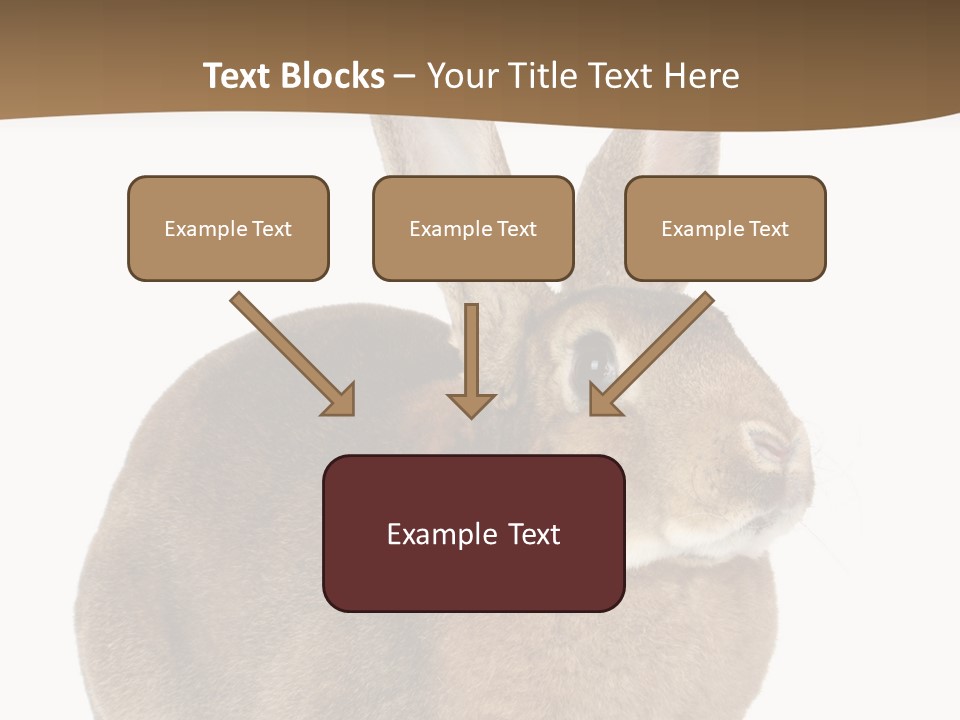 Young Fluffy Easter PowerPoint Template