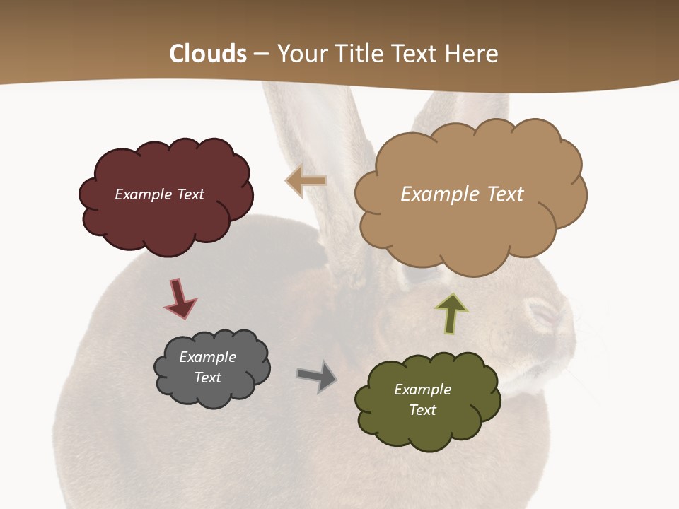 Young Fluffy Easter PowerPoint Template