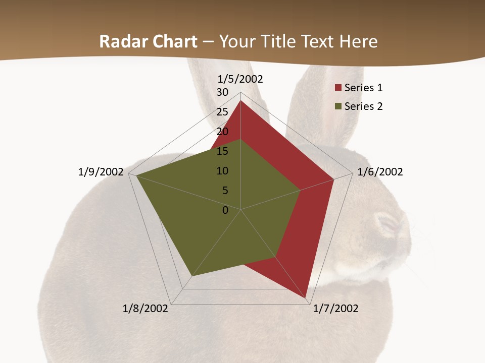 Young Fluffy Easter PowerPoint Template