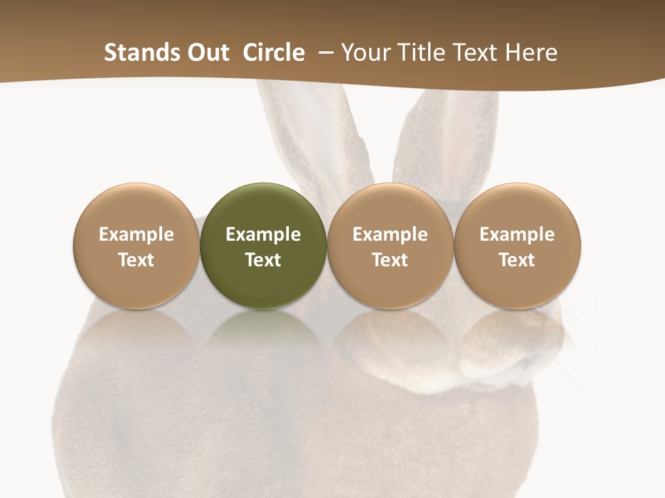 Young Fluffy Easter PowerPoint Template