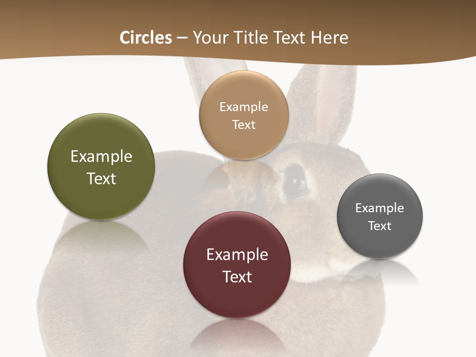 Young Fluffy Easter PowerPoint Template