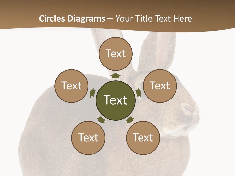 Young Fluffy Easter PowerPoint Template