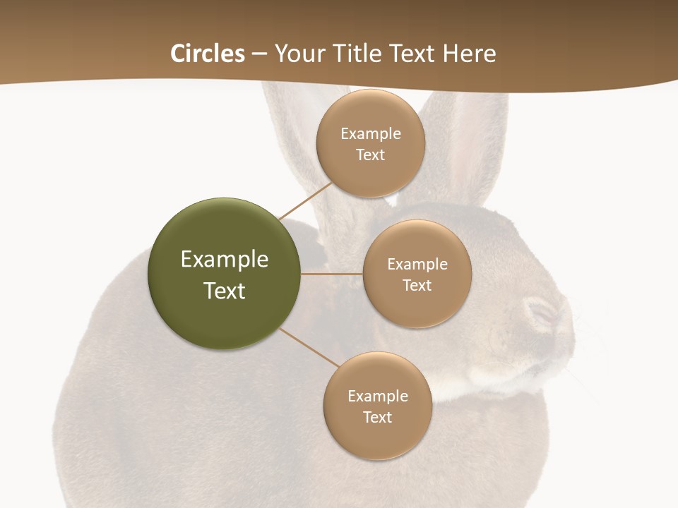 Young Fluffy Easter PowerPoint Template