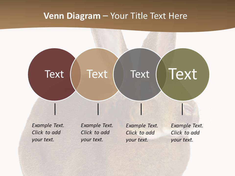 Young Fluffy Easter PowerPoint Template