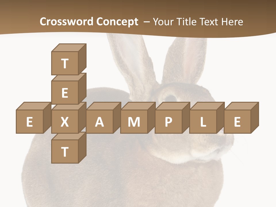 Young Fluffy Easter PowerPoint Template