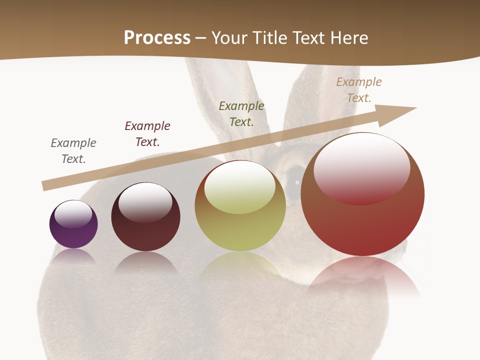 Young Fluffy Easter PowerPoint Template