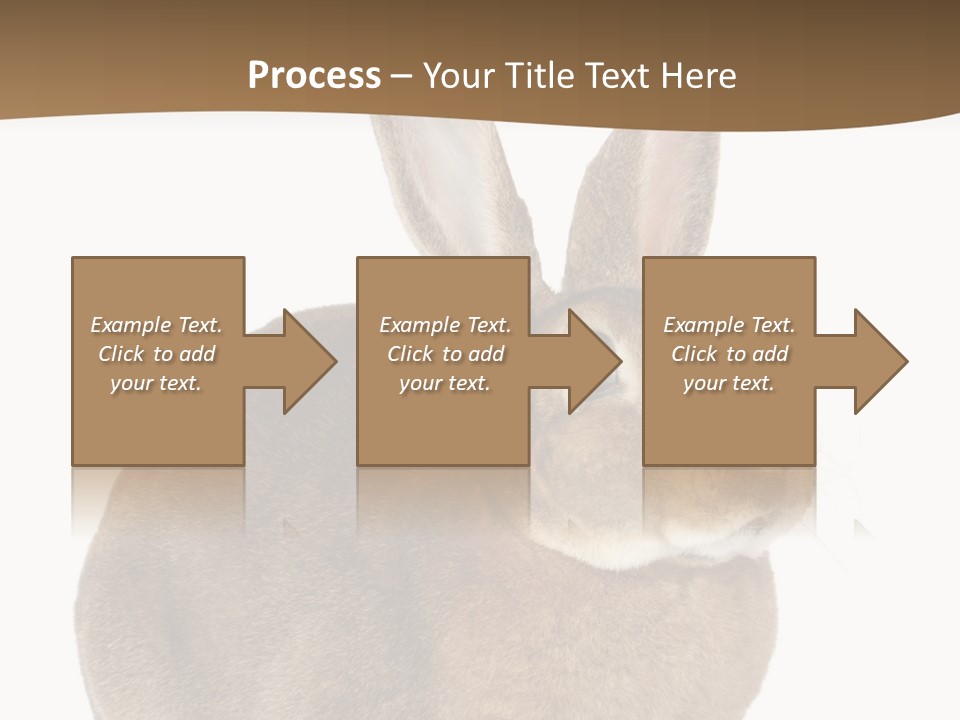 Young Fluffy Easter PowerPoint Template