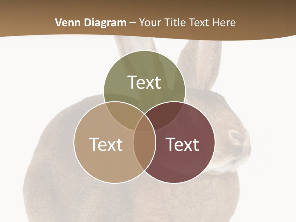 Young Fluffy Easter PowerPoint Template