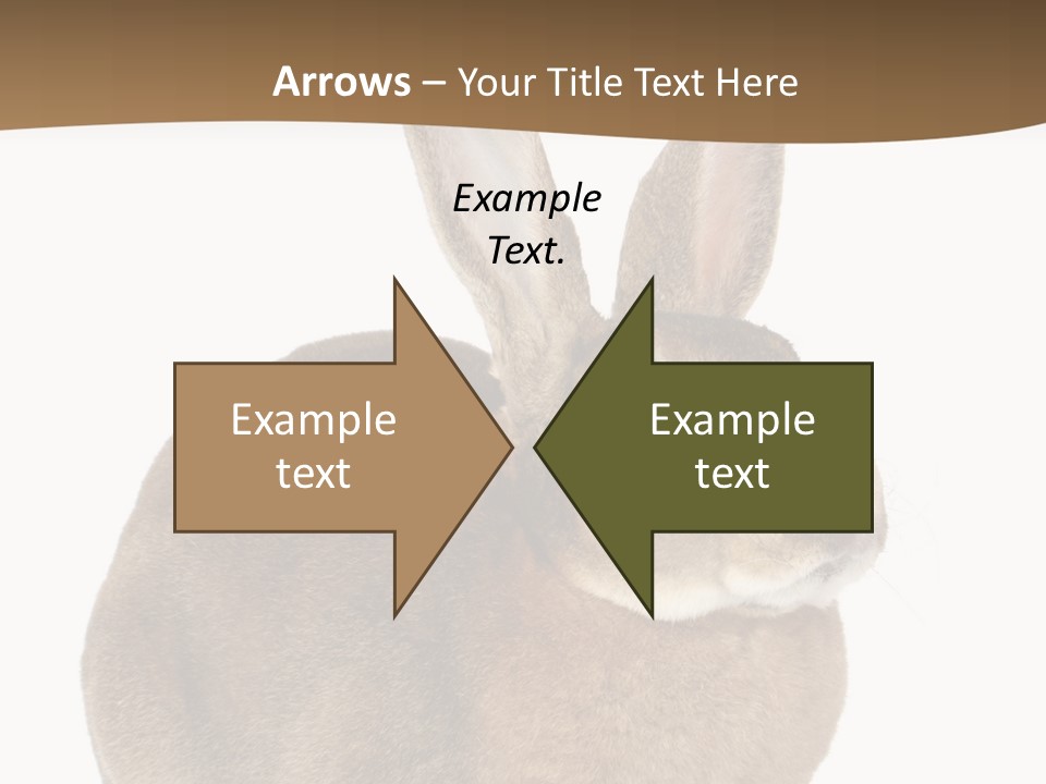 Young Fluffy Easter PowerPoint Template