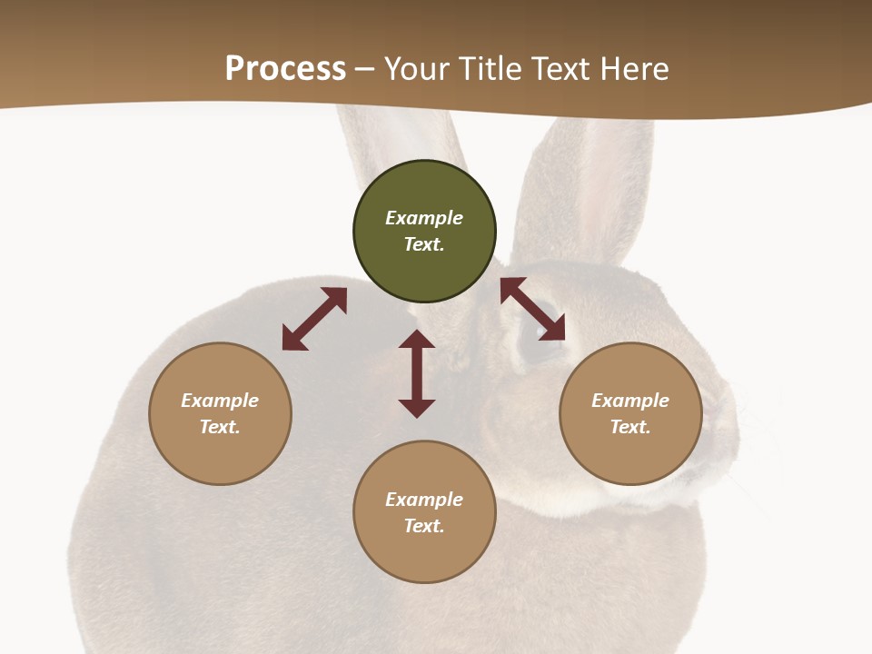 Young Fluffy Easter PowerPoint Template