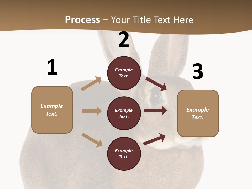 Young Fluffy Easter PowerPoint Template