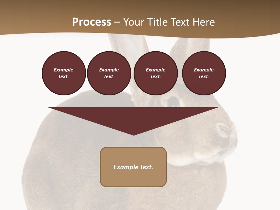 Young Fluffy Easter PowerPoint Template