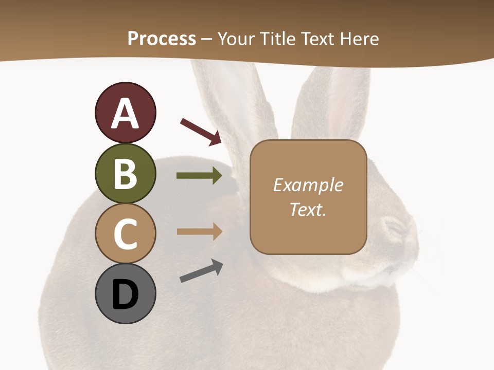 Young Fluffy Easter PowerPoint Template