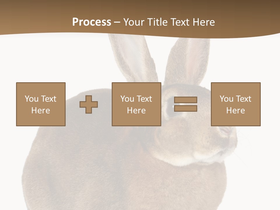 Young Fluffy Easter PowerPoint Template