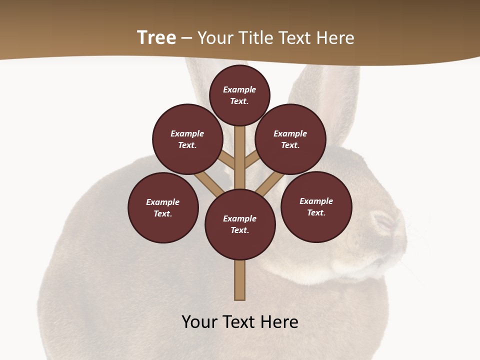 Young Fluffy Easter PowerPoint Template