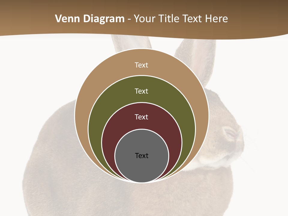 Young Fluffy Easter PowerPoint Template