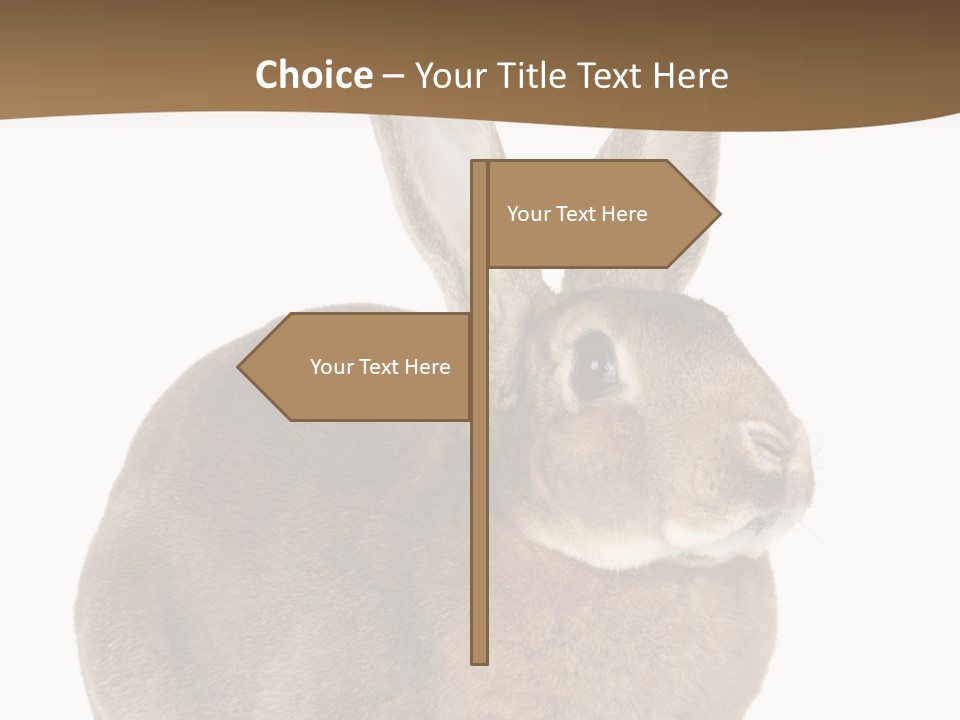 Young Fluffy Easter PowerPoint Template