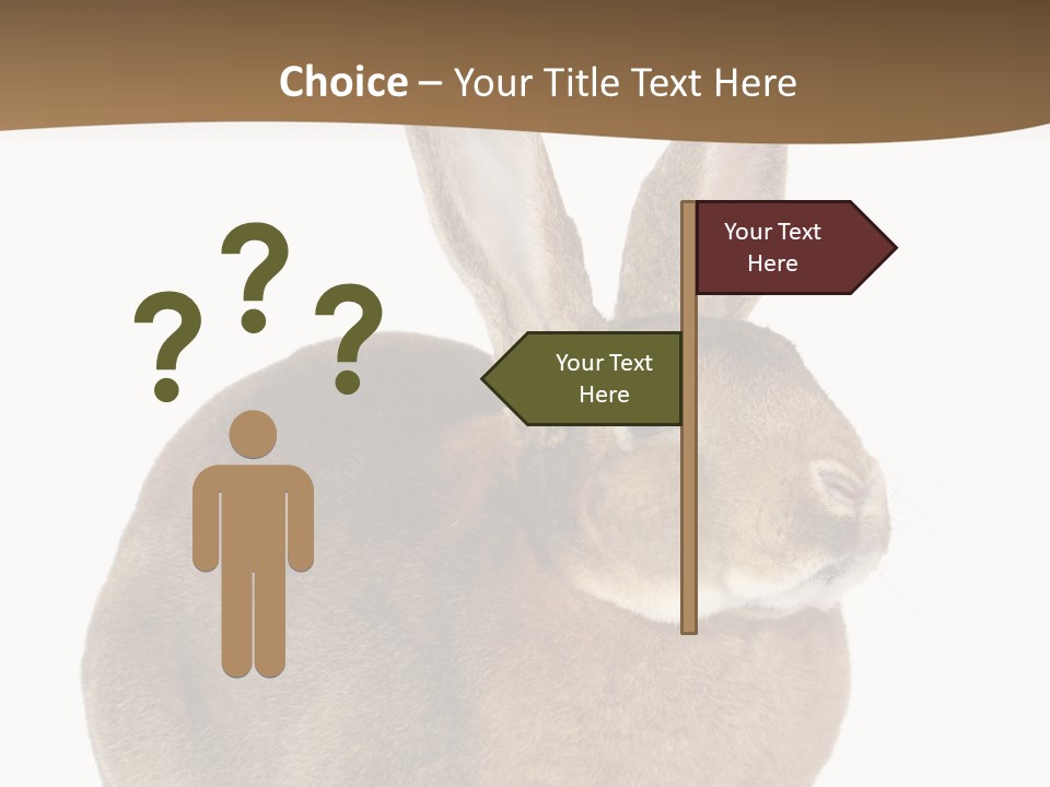 Young Fluffy Easter PowerPoint Template