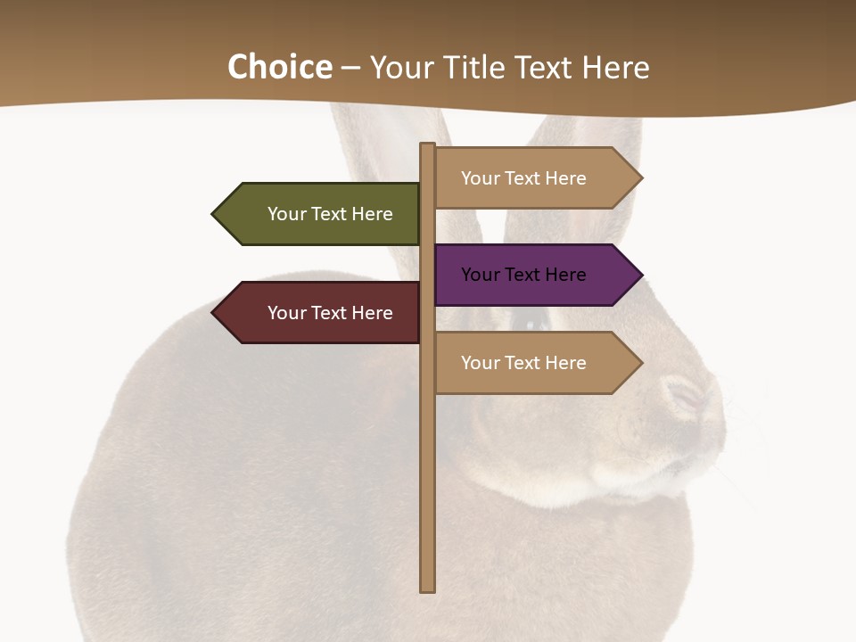 Young Fluffy Easter PowerPoint Template