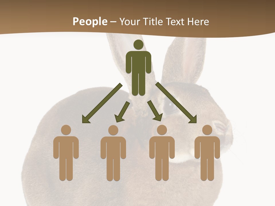 Young Fluffy Easter PowerPoint Template