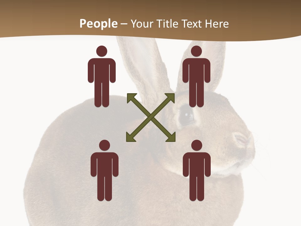 Young Fluffy Easter PowerPoint Template