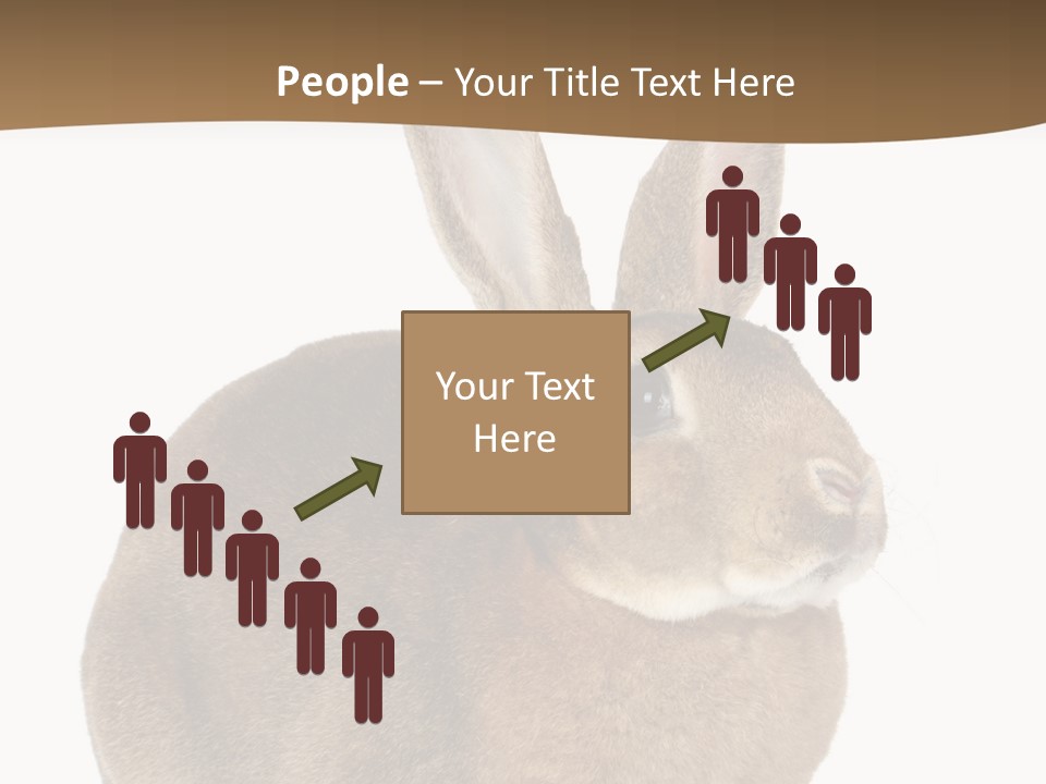 Young Fluffy Easter PowerPoint Template