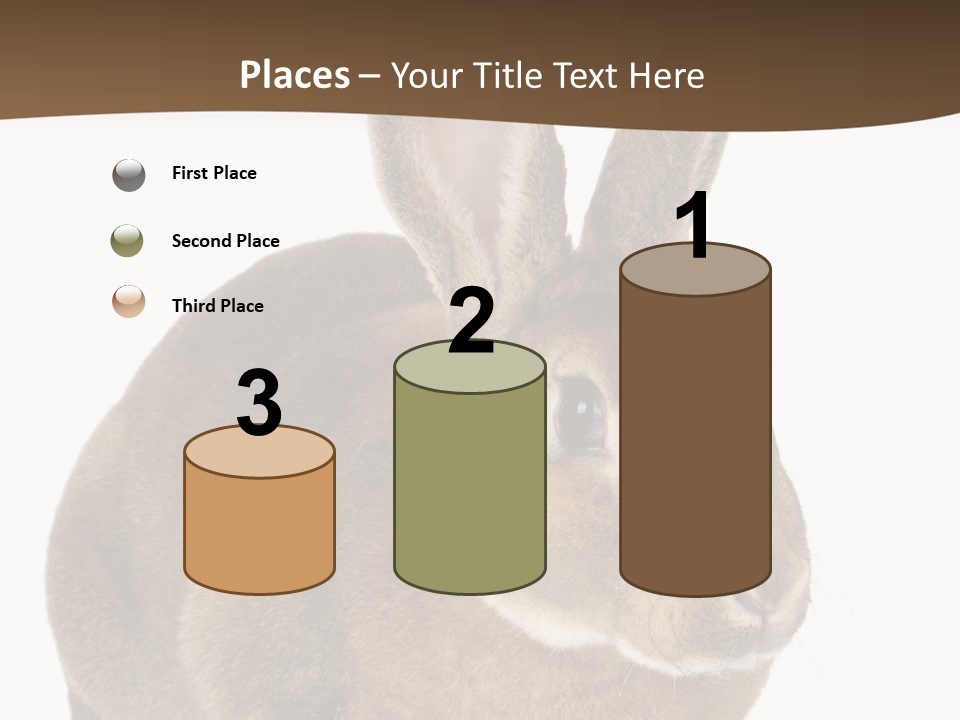 Whiskers Playful Brown PowerPoint Template