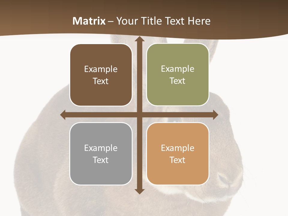 Whiskers Playful Brown PowerPoint Template