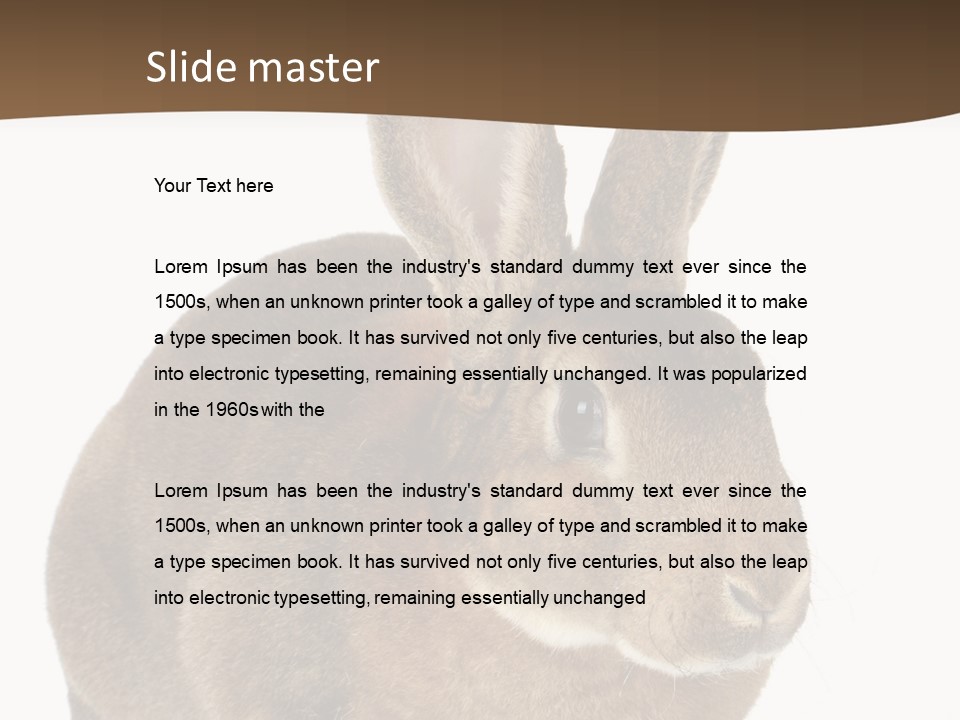 Whiskers Playful Brown PowerPoint Template